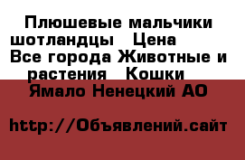 Плюшевые мальчики шотландцы › Цена ­ 500 - Все города Животные и растения » Кошки   . Ямало-Ненецкий АО